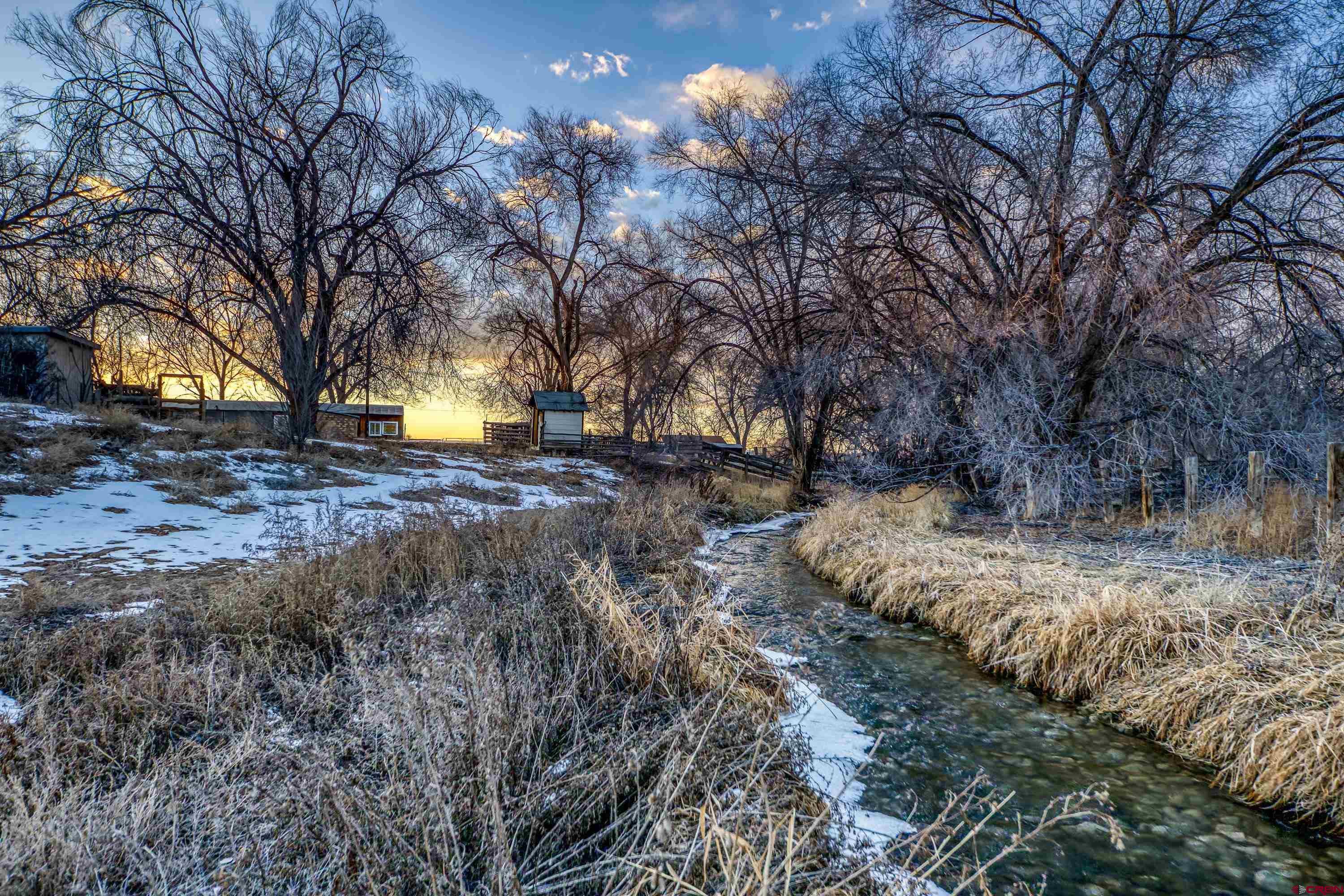 6038 Townsend Road Delta, CO 81416 - Photo 15 of 45 a view of dirt yard with a tree