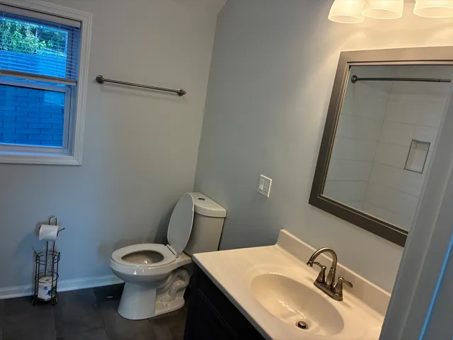 a bathroom with a sink toilet and mirror