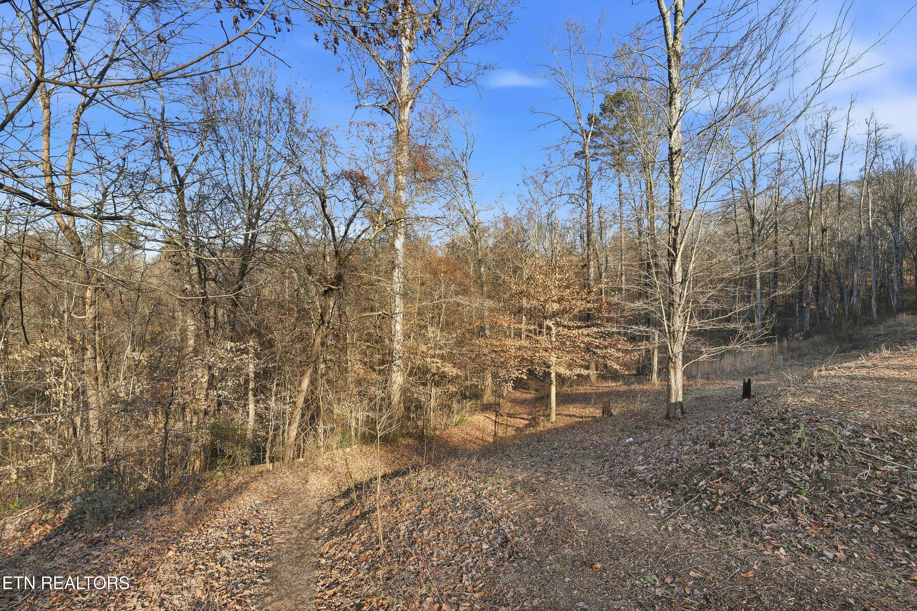 574 Peach Orchard Road Clinton, TN 37716 - Photo 20 of 27 21-574 Peach Orchard Rd-21