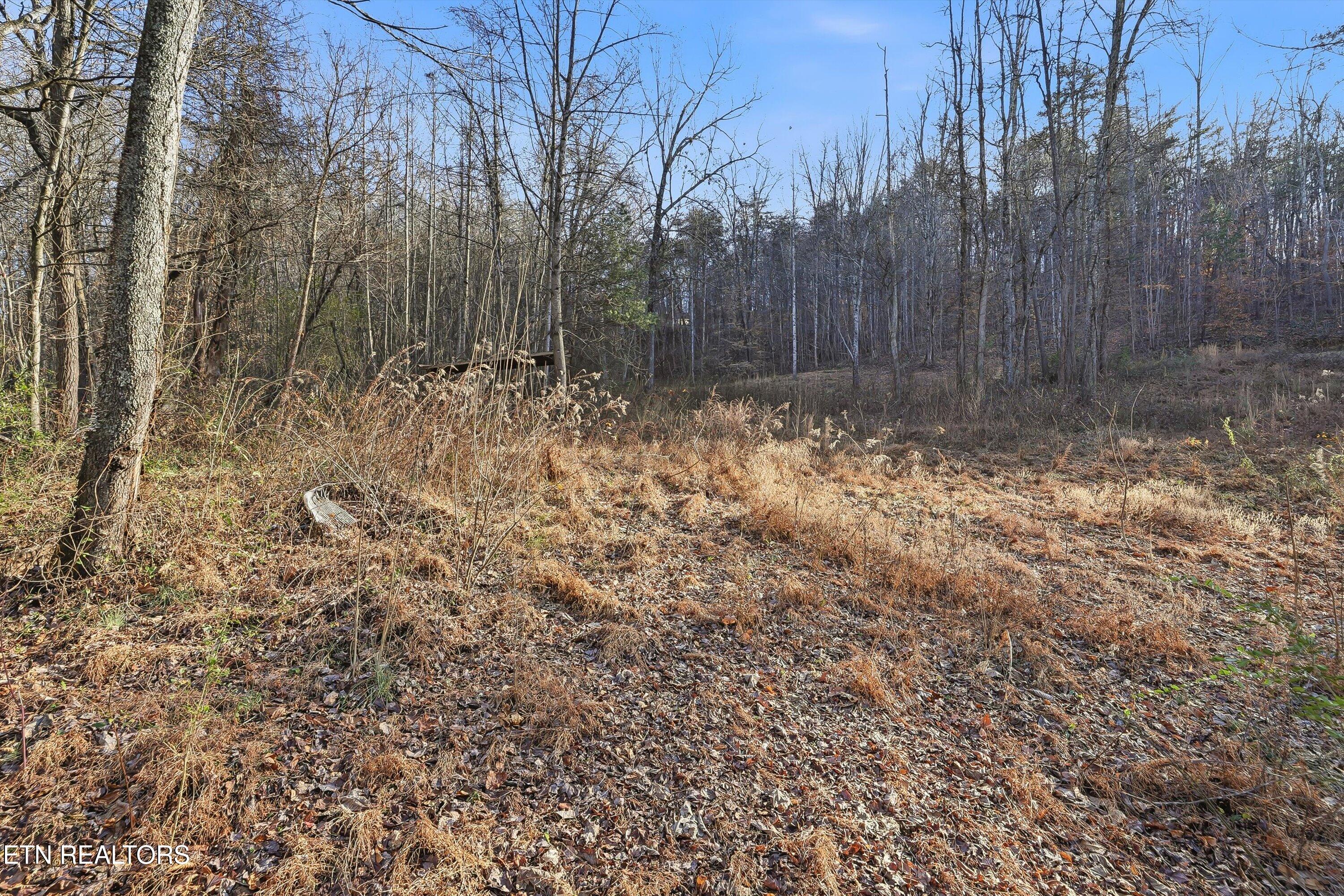 574 Peach Orchard Road Clinton, TN 37716 - Photo 22 of 27 24-574 Peach Orchard Rd-24