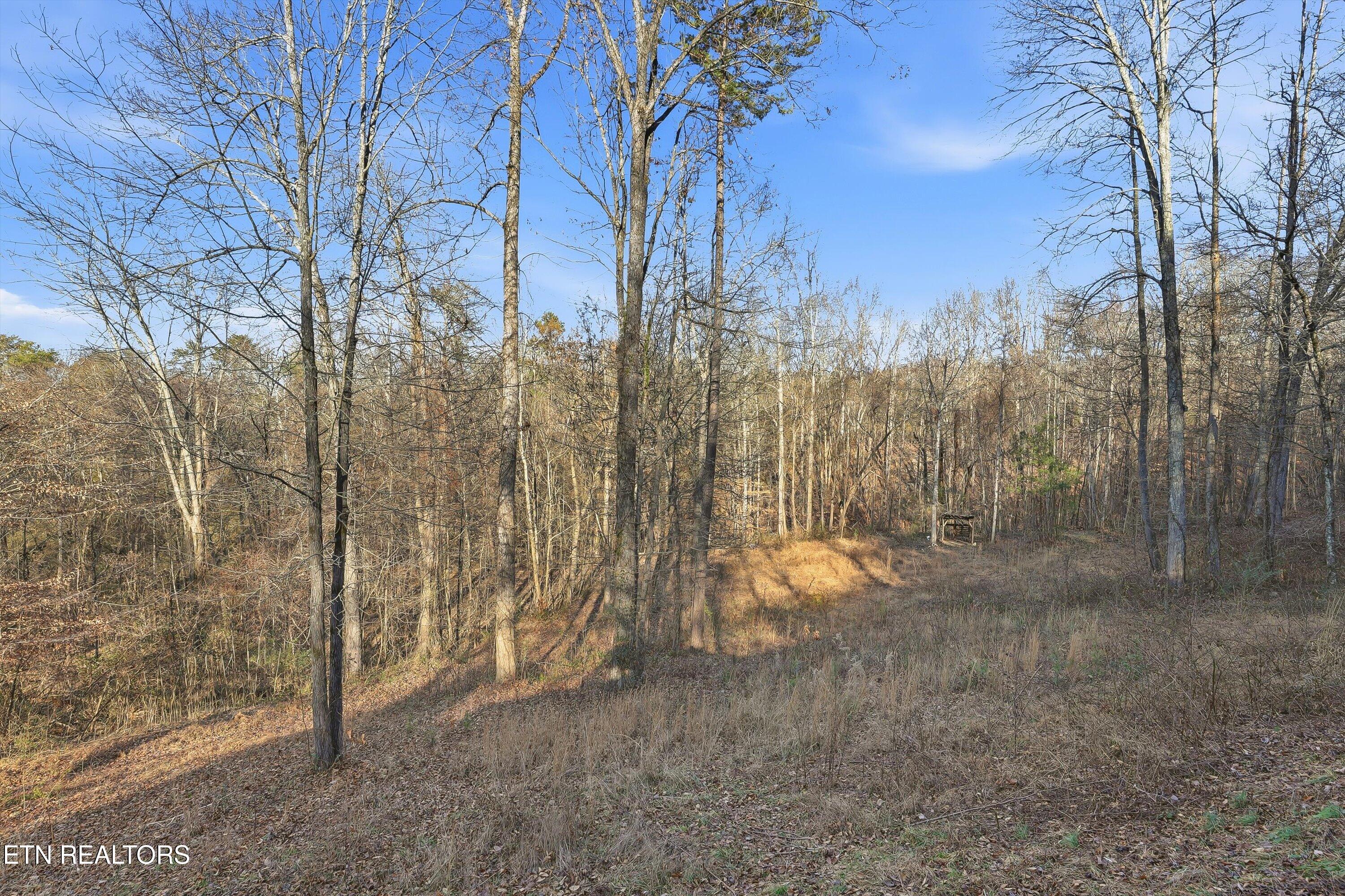 574 Peach Orchard Road Clinton, TN 37716 - Photo 26 of 27 28-574 Peach Orchard Rd-28
