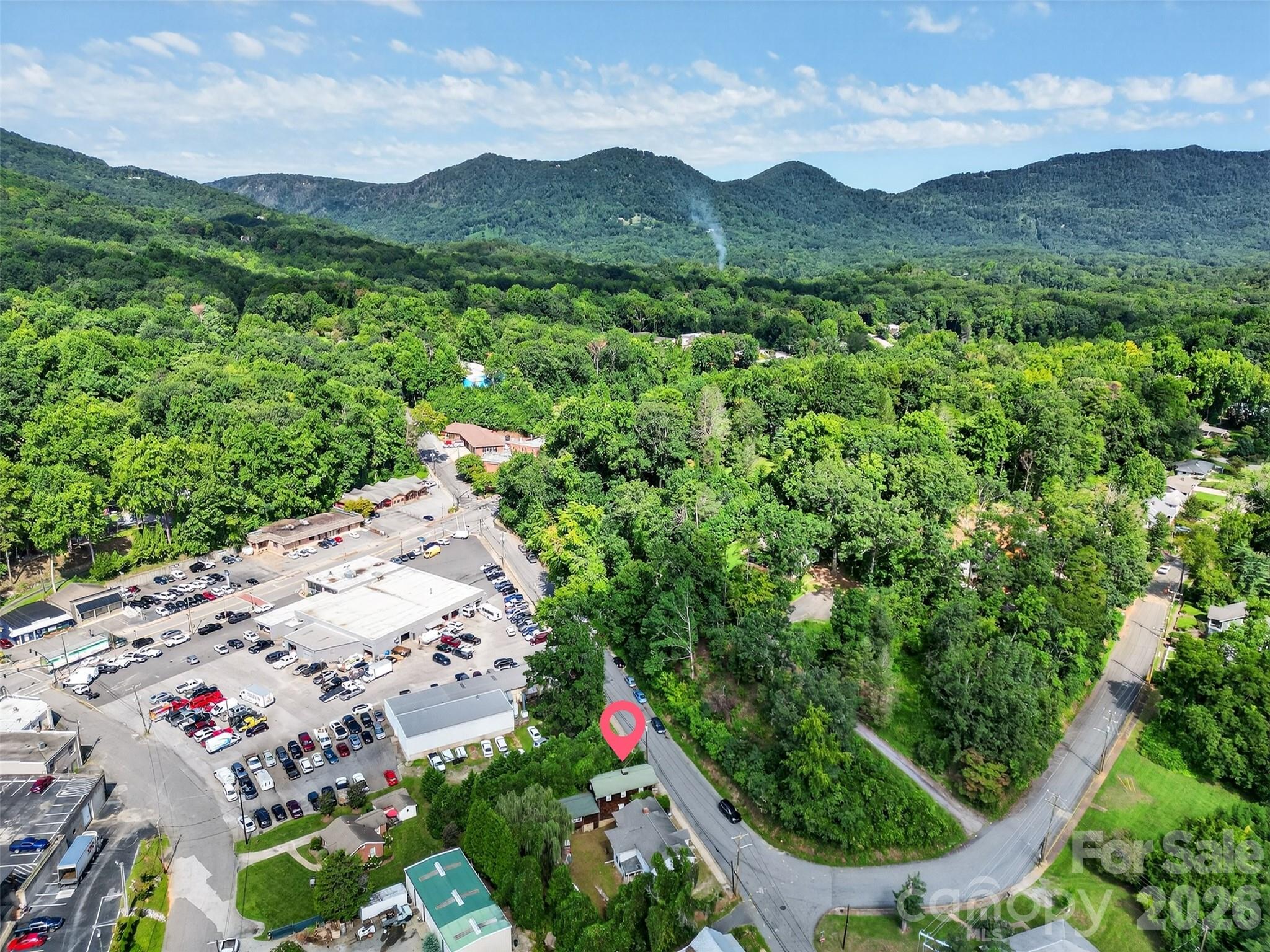 160 East Howard Street Tryon, NC 28782 - Photo 42 of 48 a view of a lush green field with mountains in the background