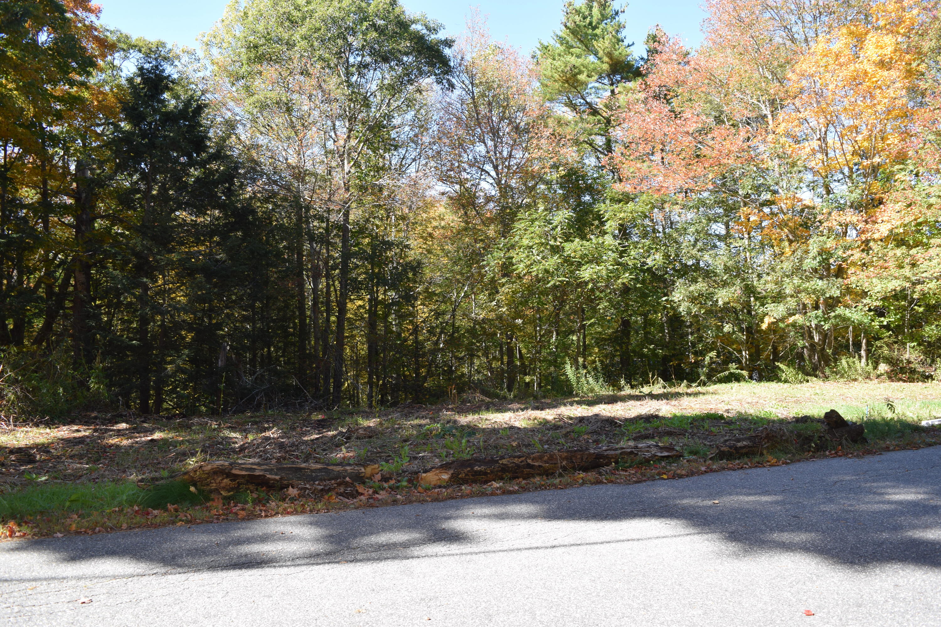 Lot #4 Coombs Road Brunswick, ME 04011 - Photo 2 of 5 DSC_1281