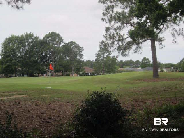 9255 Lakeview Drive Foley, AL 36535 - Photo 35 of 39 Rear Lawn/Fairway
