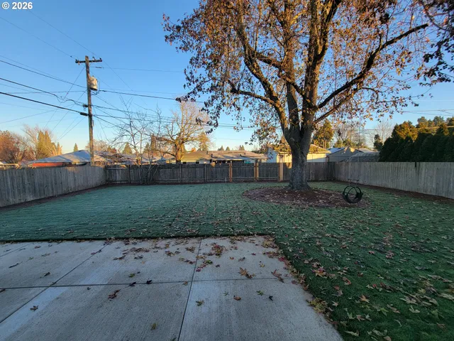 a view of a yard with plants and a tree
