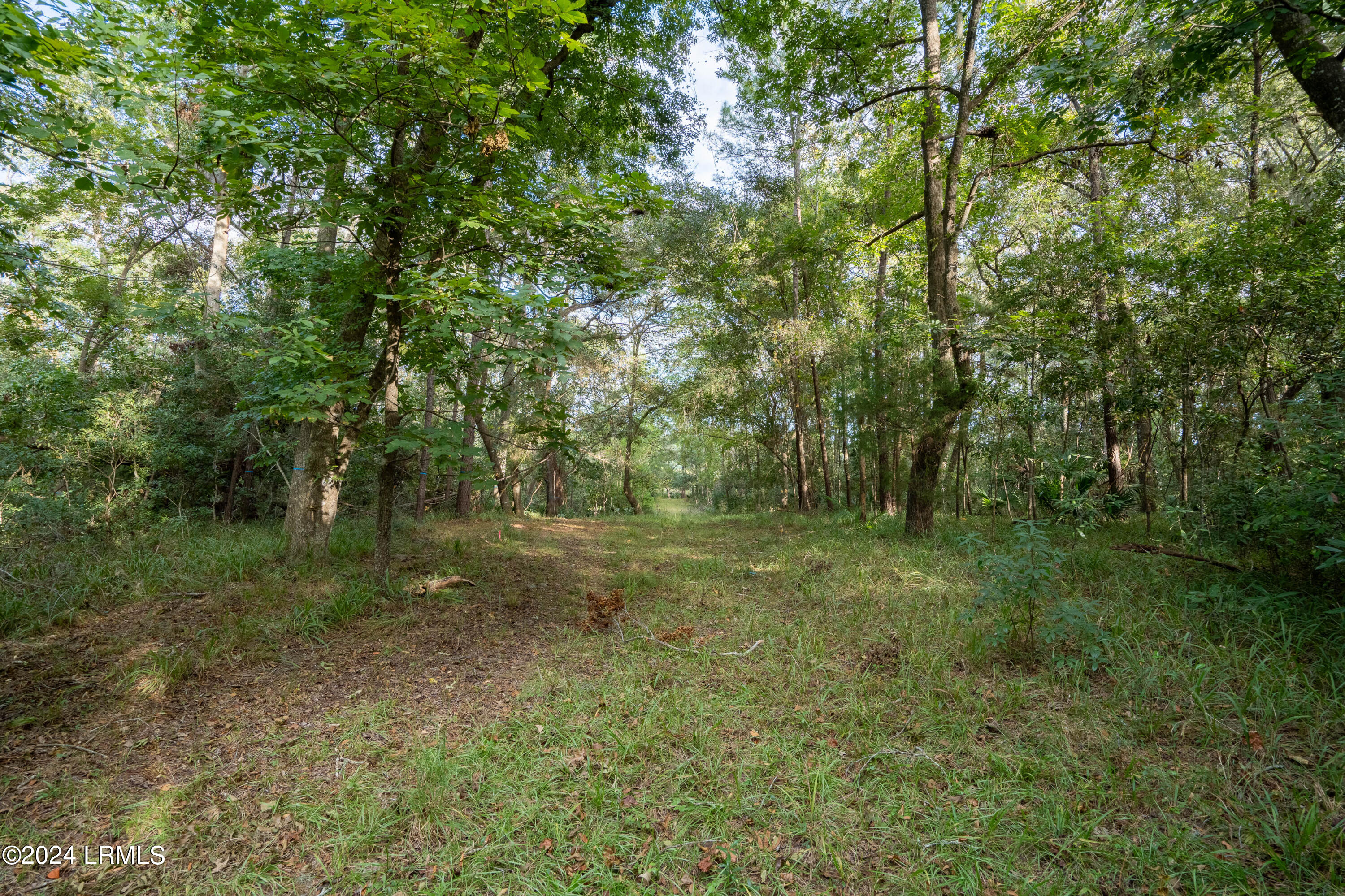 93 Bull Point Drive Seabrook, SC 29940 - Photo 17 of 42 93 Bull Point-4