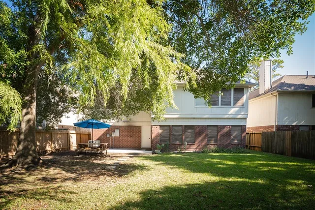 a view of a backyard with plants