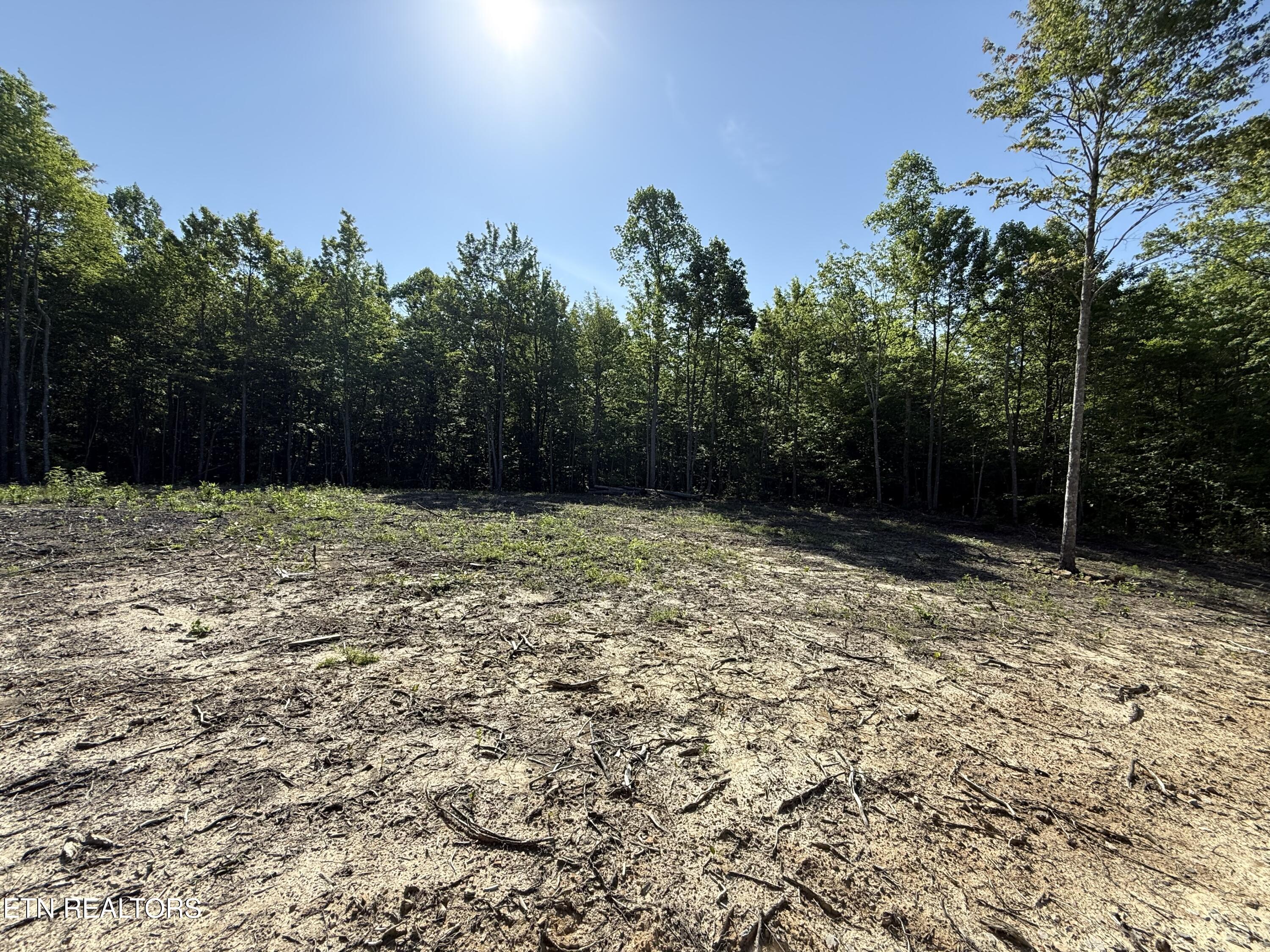969 Lewallen Road Sunbright, TN 37872 - Photo 5 of 21 IMG_4300
