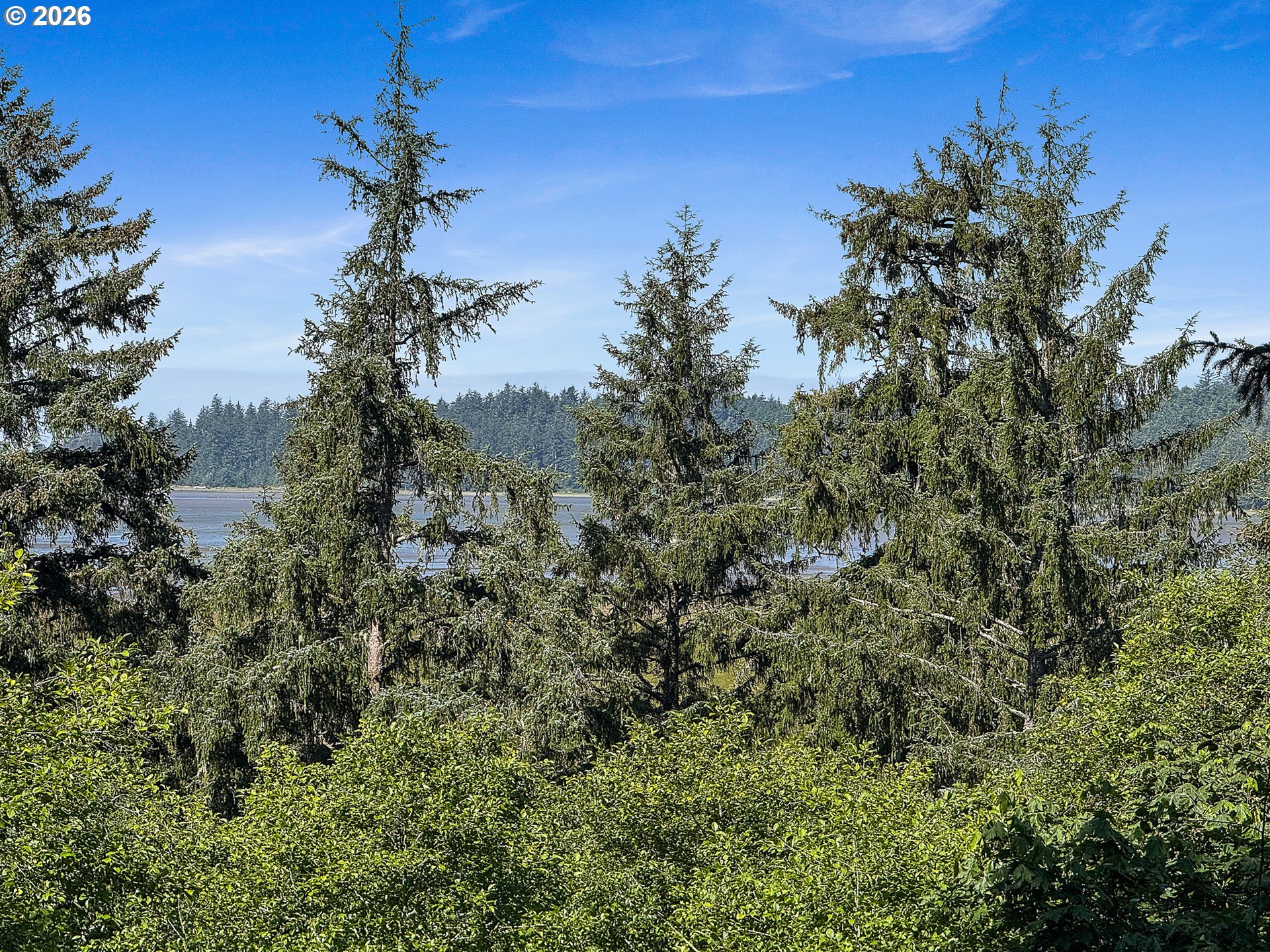 West Point Drive, Unit TL 2000 Nehalem, OR 97131 - Photo 11 of 12 a view of a tree in a yard