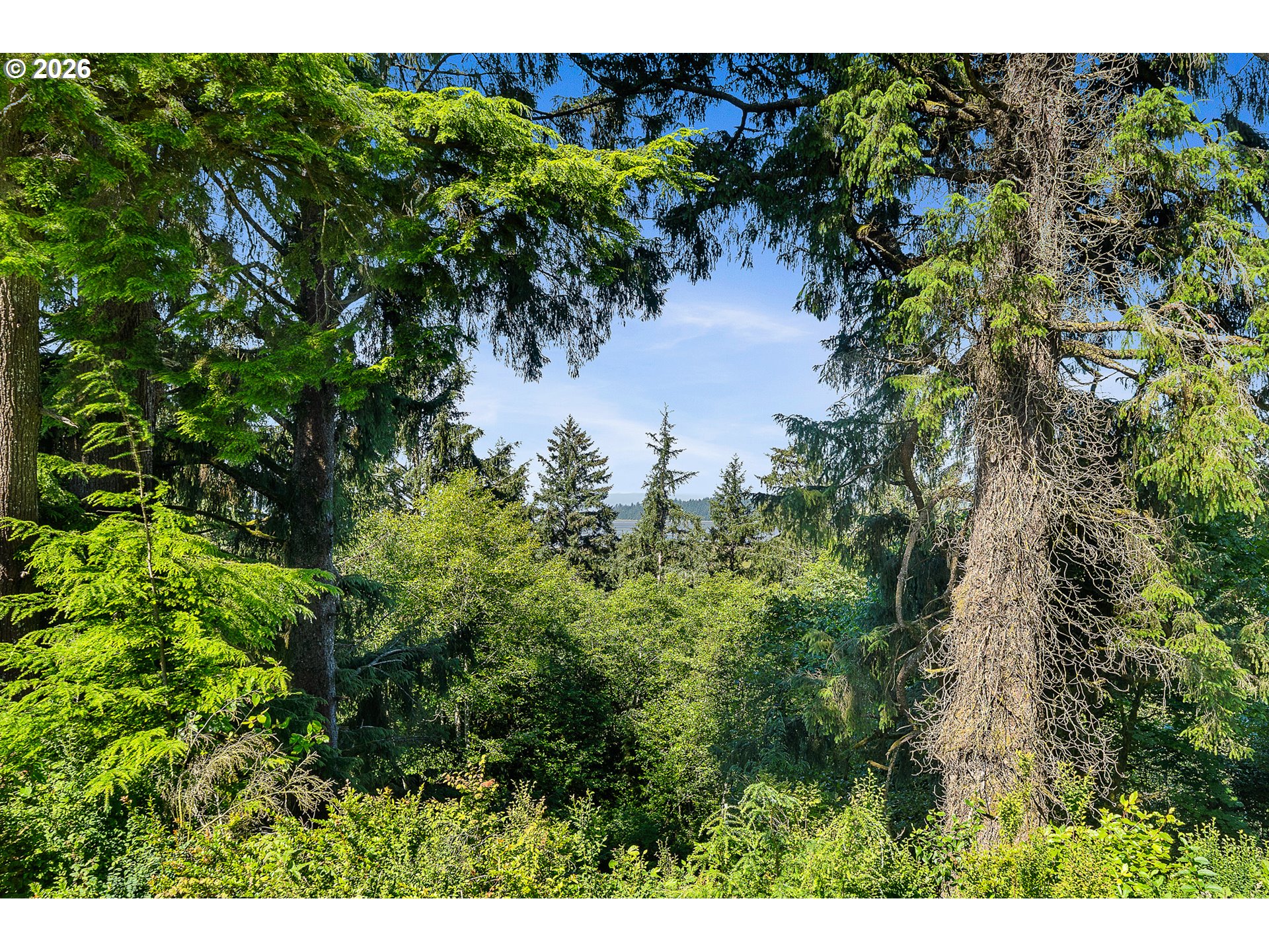 West Point Drive, Unit TL 2000 Nehalem, OR 97131 - Photo 12 of 12 a view of a garden