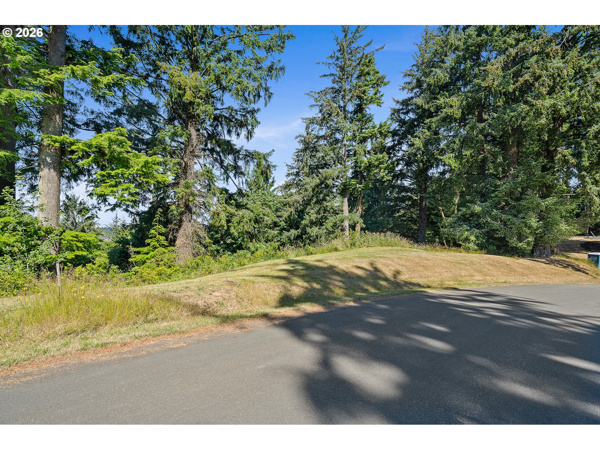 West Point Drive, Unit TL 2000 Nehalem, OR 97131 - Photo 7 of 12 a view of a yard with a tree