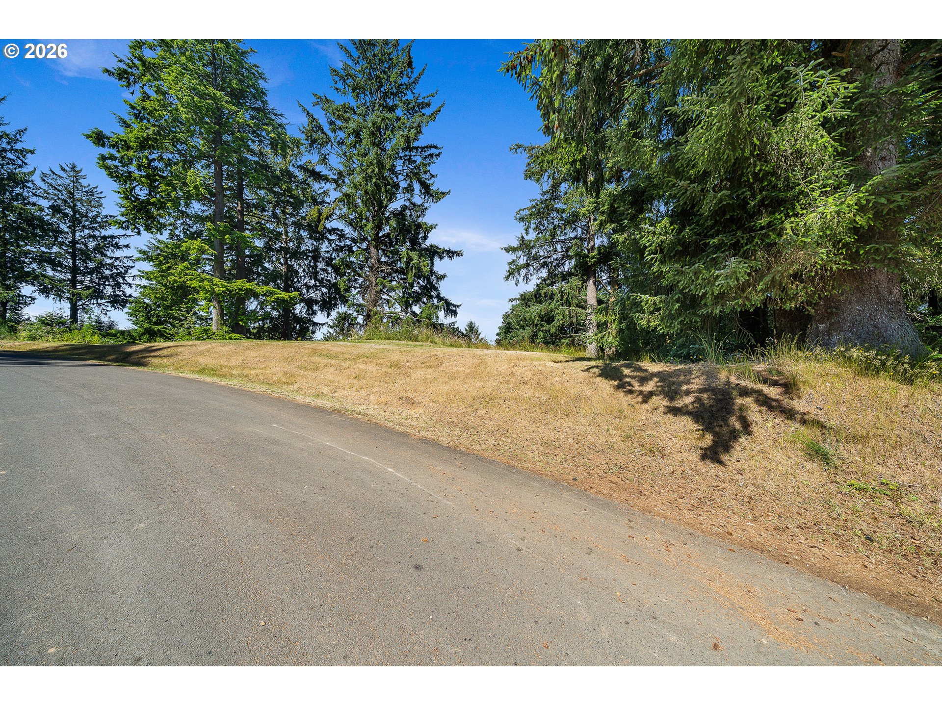 West Point Drive, Unit TL 2000 Nehalem, OR 97131 - Photo 9 of 12 a view of a yard with a tree