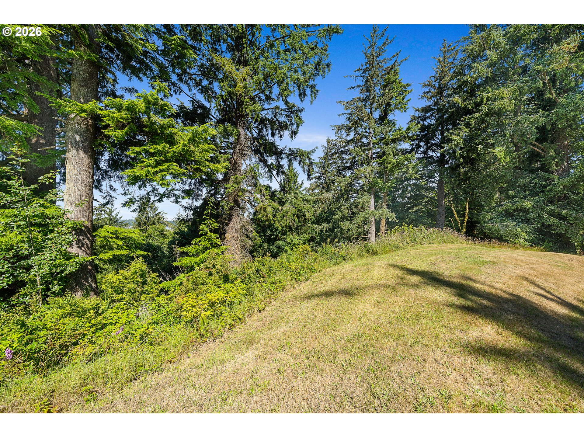 West Point Drive, Unit TL 2000 Nehalem, OR 97131 - Photo 10 of 12 a view of yard with green space