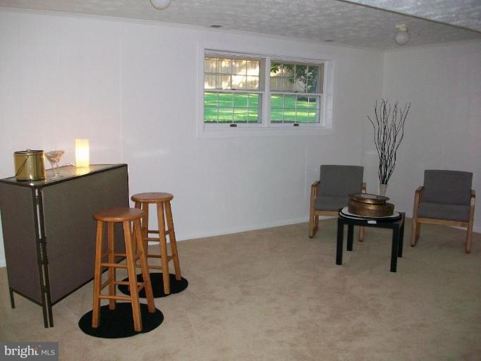 1407 Morgan Station Road Woodbine, MD 21797 - Photo 12 of 21 Lower level family room