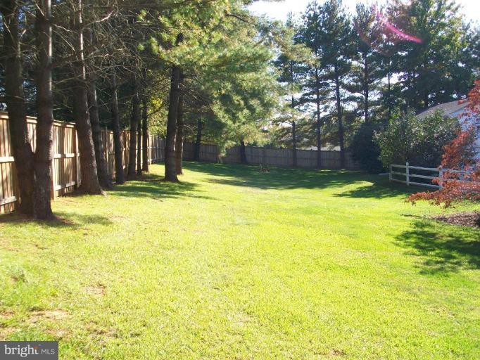 1407 Morgan Station Road Woodbine, MD 21797 - Photo 3 of 21 Back yard