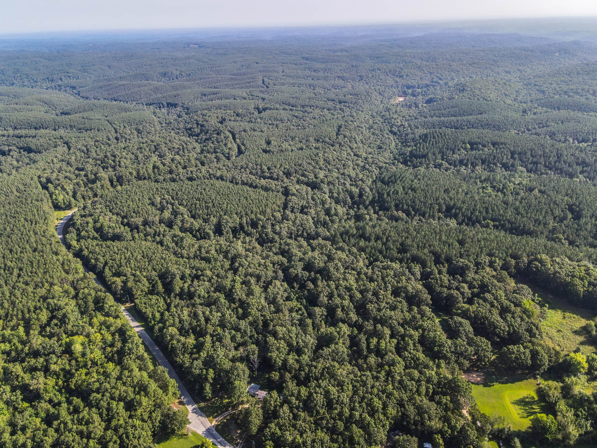0 Brush Creek Road Linden, TN 37096 - Photo 15 of 22 a view of a field with trees in the background
