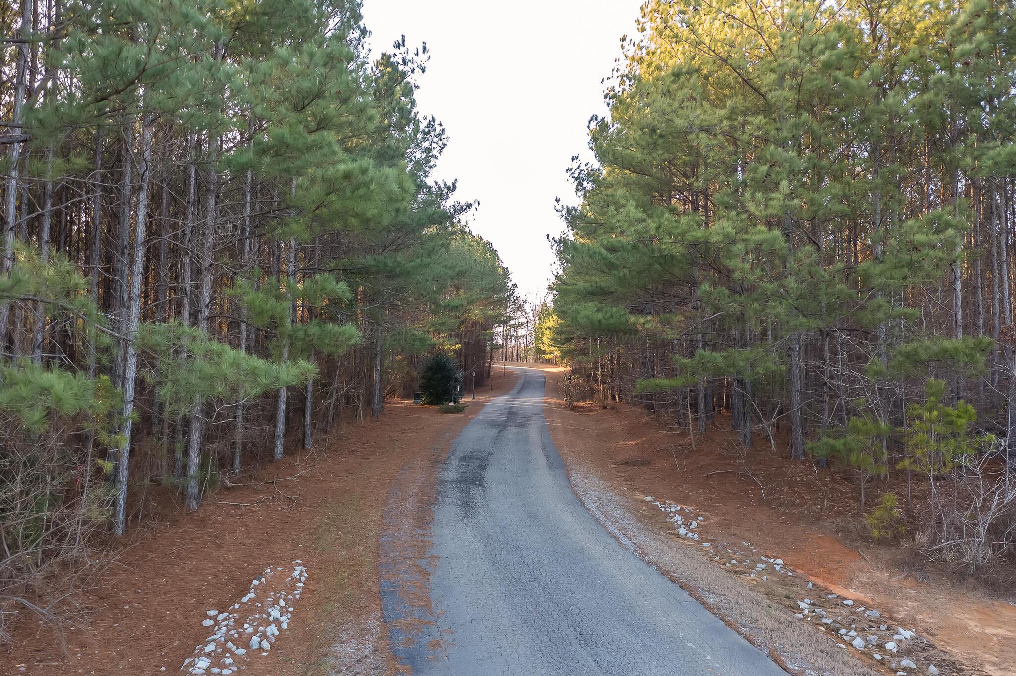 2025 County Road Crane Hill, AL 35053 - Photo 5 of 9 Gallery Image 5