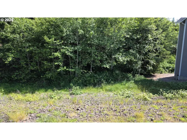 a black and white photo of a green field