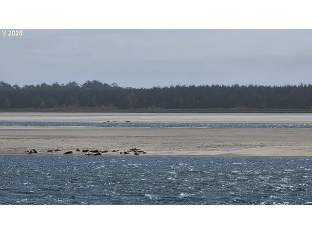 a view of a room with a rug
