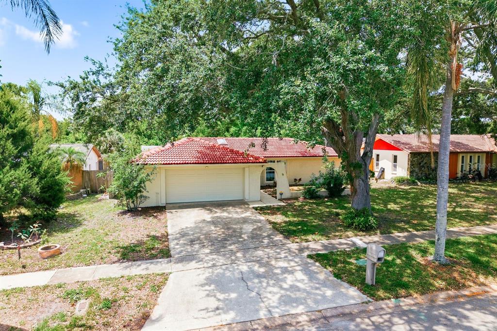 1771 Ranchwood Drive South Dunedin, FL 34698 - Photo 42 of 50