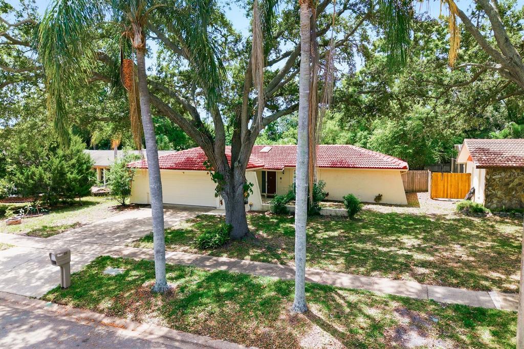 1771 Ranchwood Drive South Dunedin, FL 34698 - Photo 43 of 50