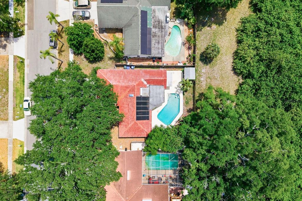 1771 Ranchwood Drive South Dunedin, FL 34698 - Photo 48 of 50
