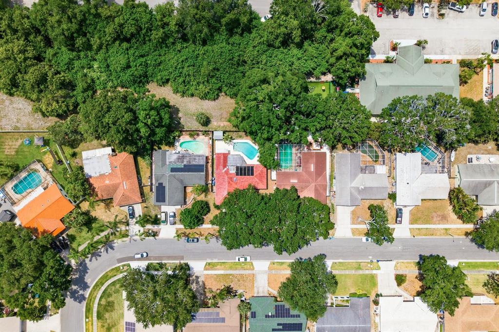 1771 Ranchwood Drive South Dunedin, FL 34698 - Photo 49 of 50