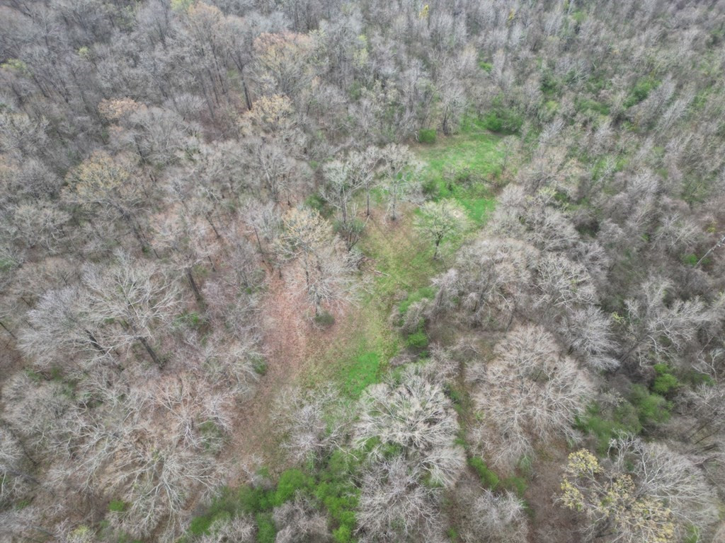 1 McDonald Road Lorman, MS 39096 - Photo 2 of 9 Photo 2