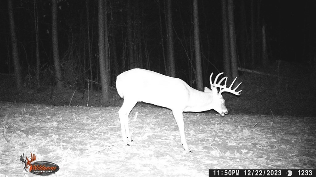 1 McDonald Road Lorman, MS 39096 - Photo 8 of 9 Photo 8