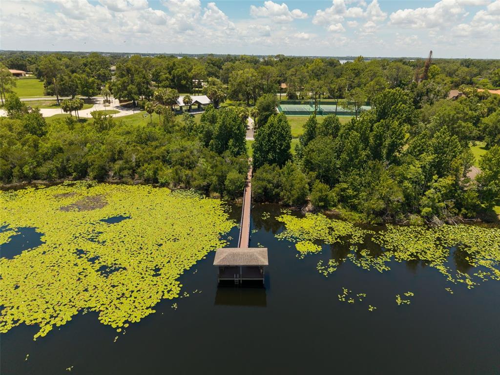 2512 Tryon Place Windermere, FL 34786 - Photo 60 of 69