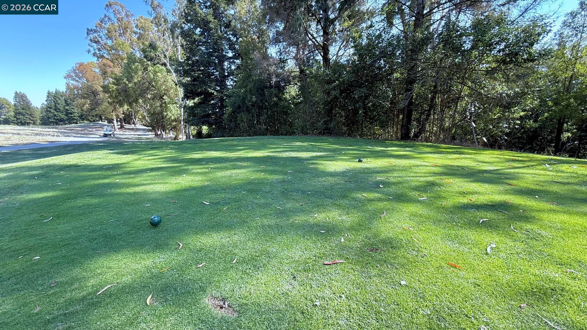 246 Canyon Woods Way, Unit C San Ramon, CA 94582 - Photo 80 of 99