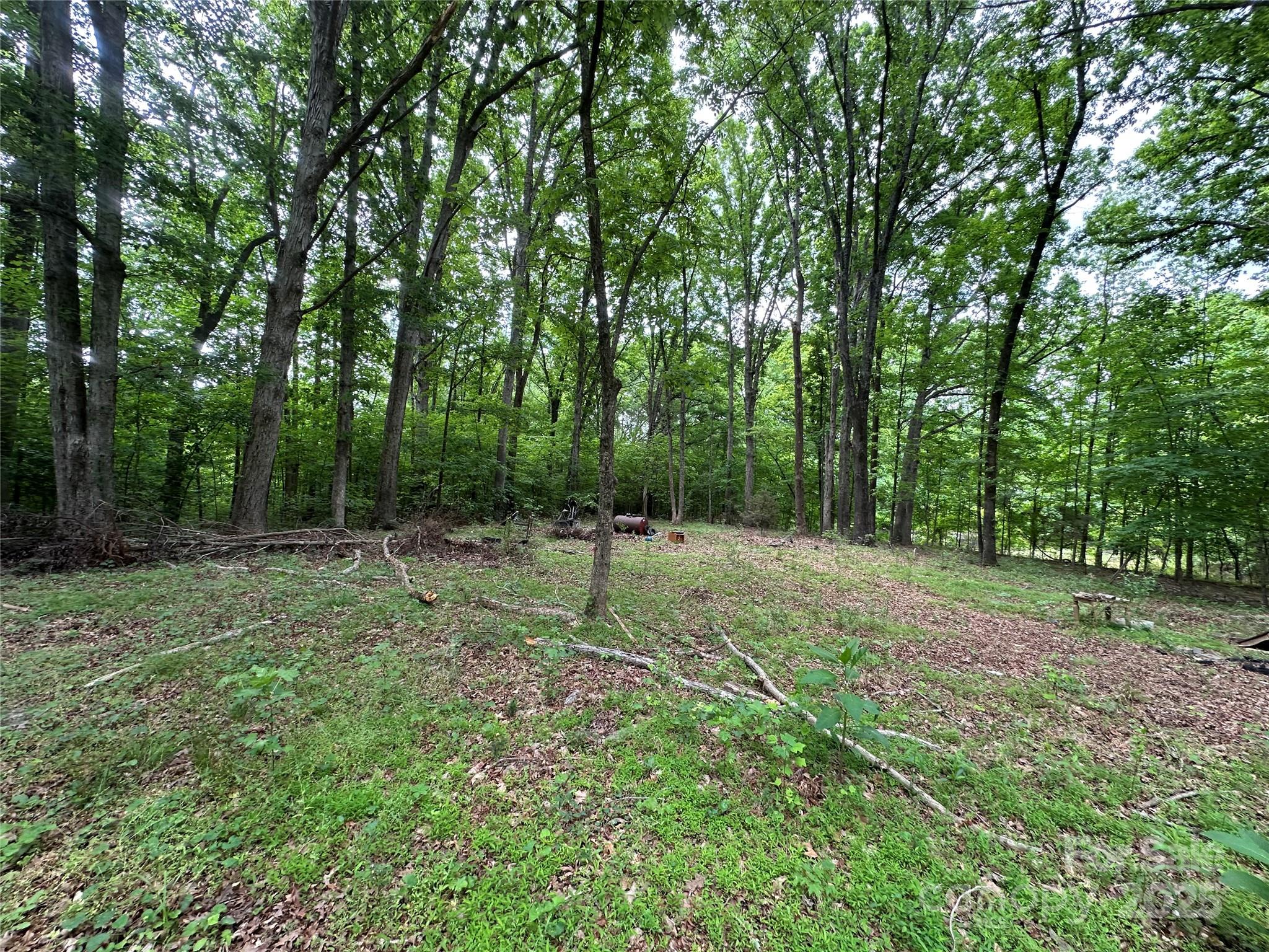 455 Running Brook Road Midland, NC 28107 - Photo 1 of 6 a view of a backyard with large trees