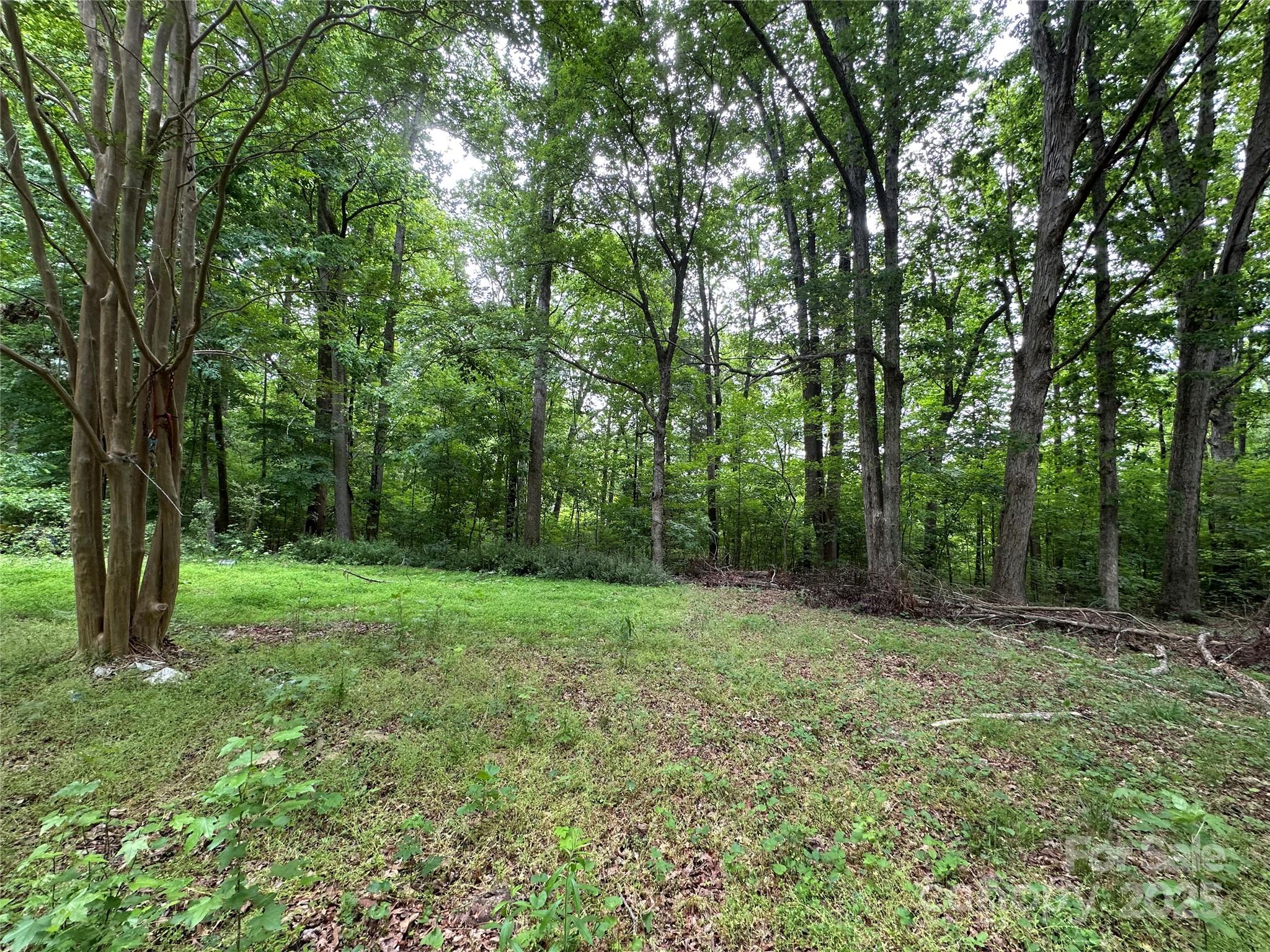 455 Running Brook Road Midland, NC 28107 - Photo 2 of 6 a view of outdoor space and garden