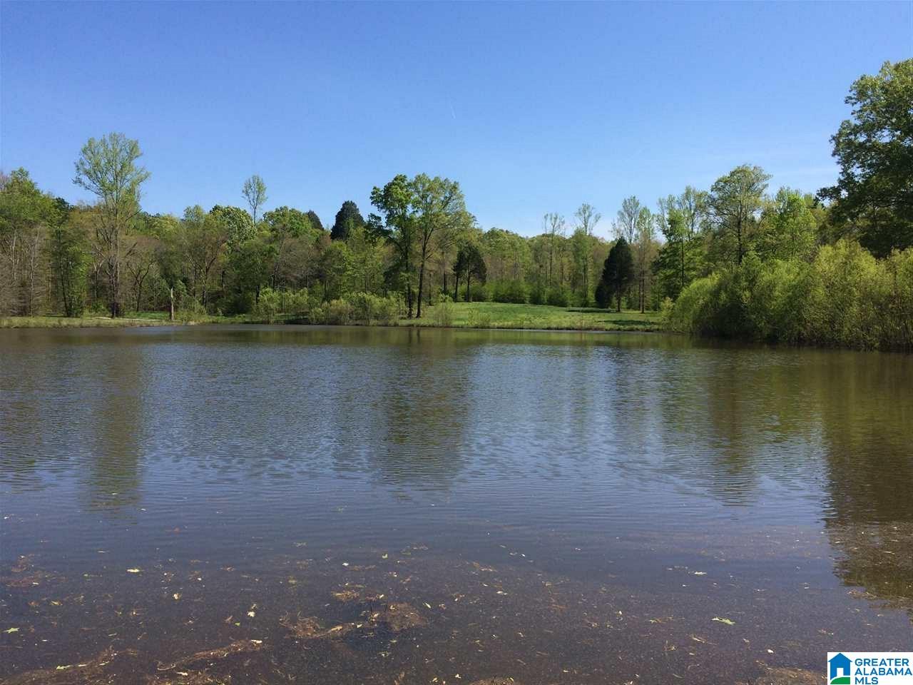 49 County Road Clanton, AL 35045 - Photo 4 of 4
