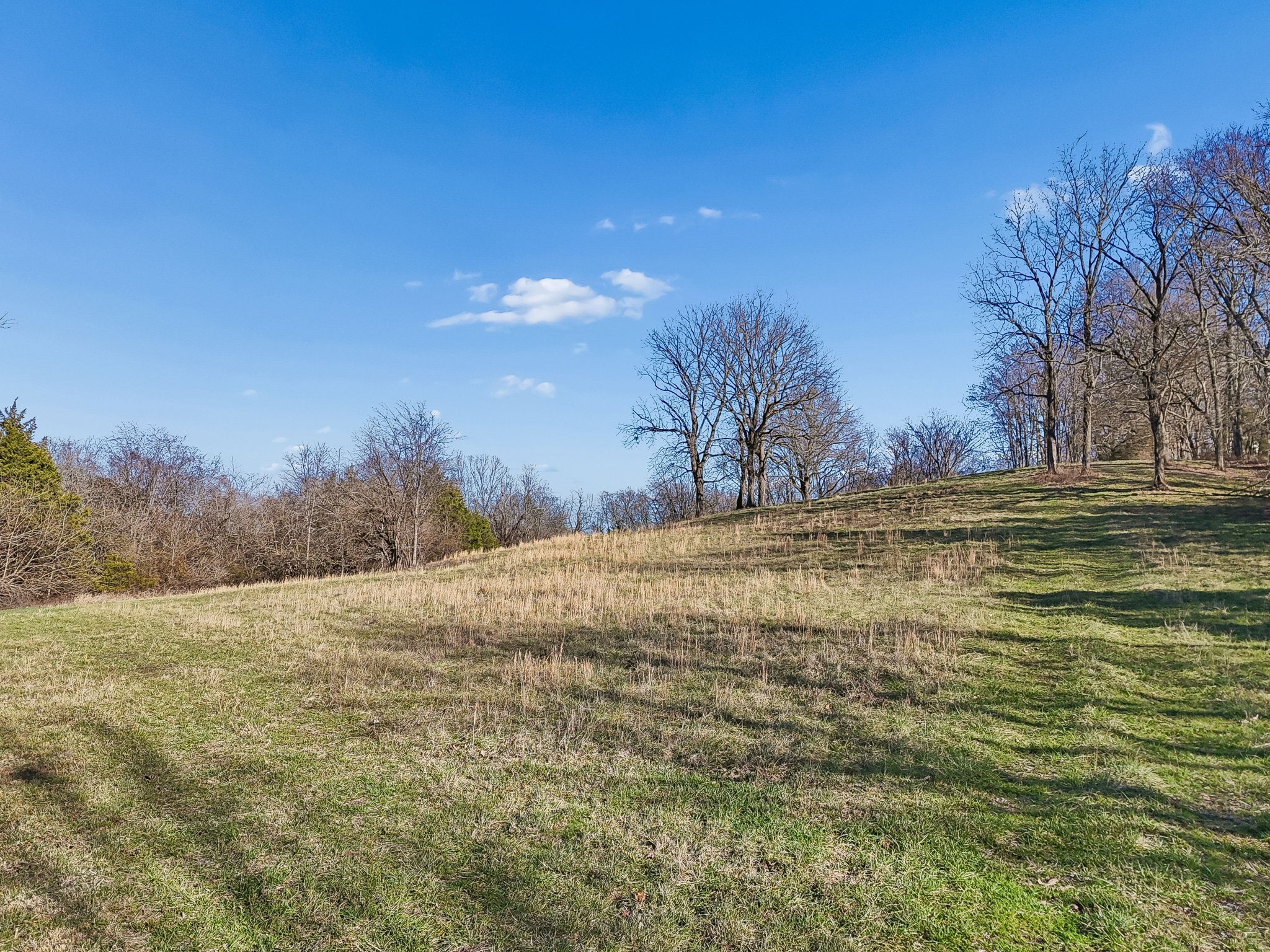 13821 Cainsville Road Lebanon, TN 37090 - Photo 65 of 68