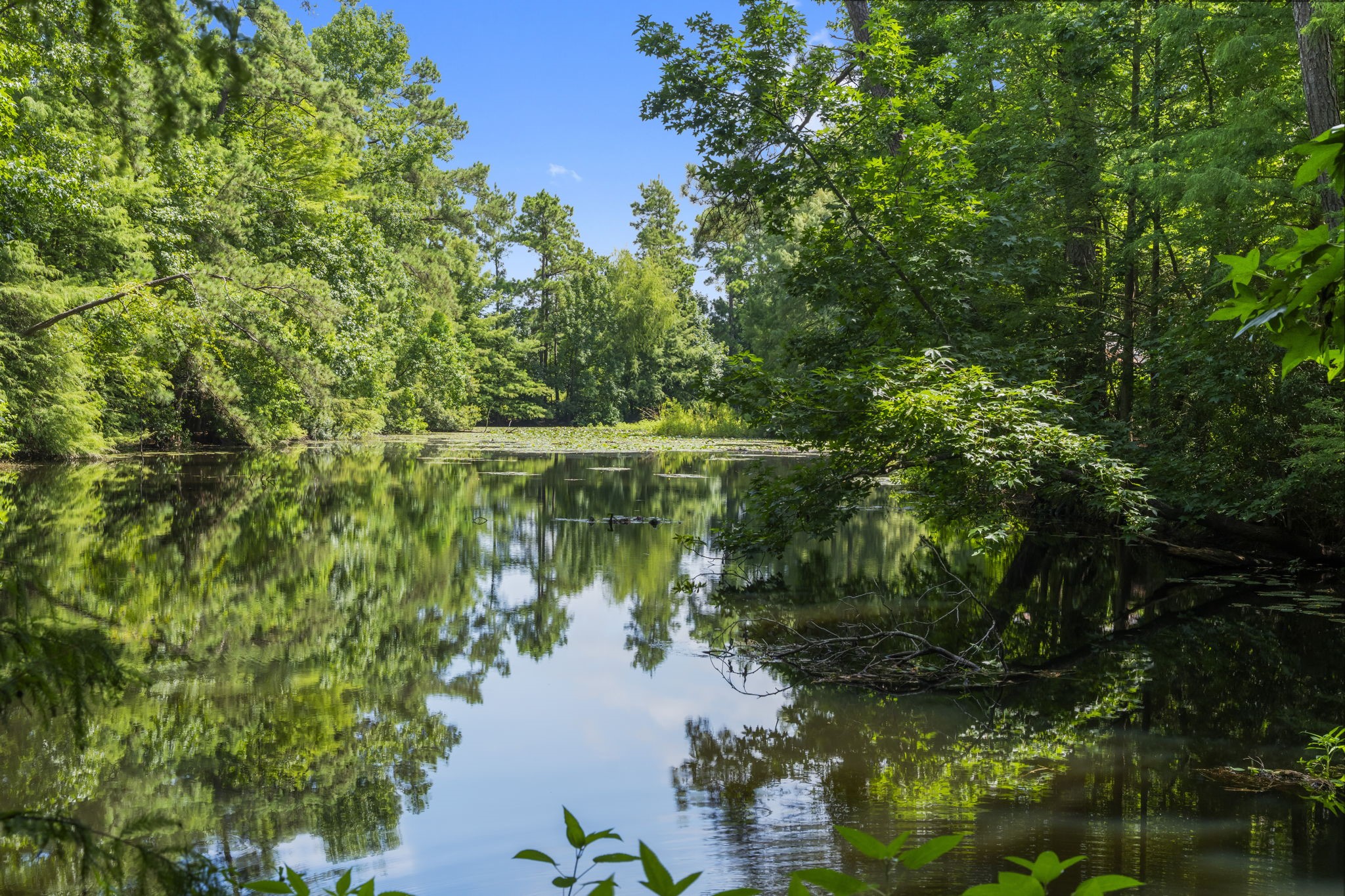 426 Nursery Road The Woodlands, TX 77380 - Photo 28 of 41 a view of lake with green space