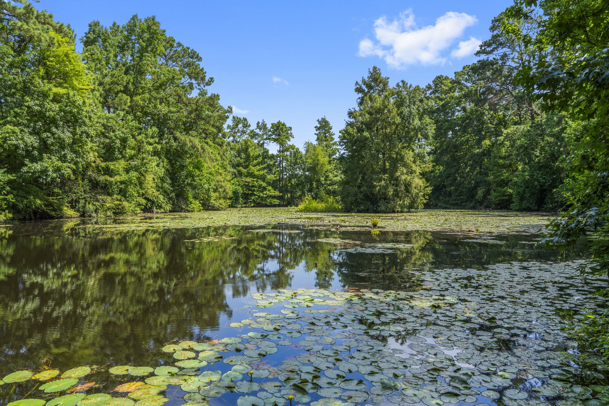 426 Nursery Road The Woodlands, TX 77380 - Photo 31 of 41 a view of a lake with a yard