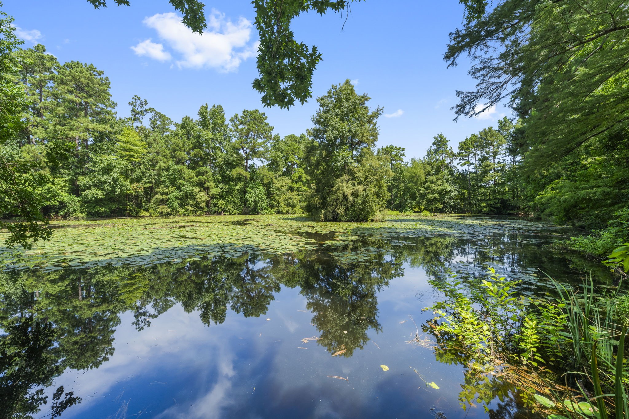 426 Nursery Road The Woodlands, TX 77380 - Photo 35 of 41 a view of a lake with a yard