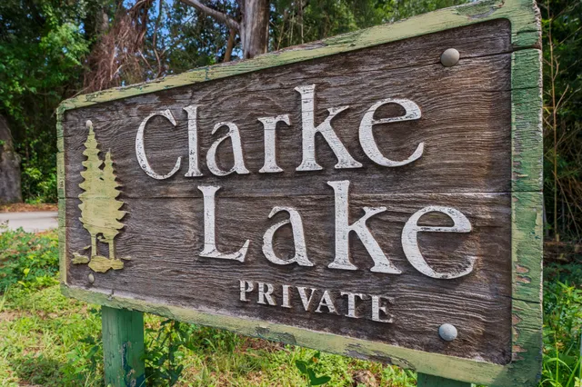 a view of a garden with plants