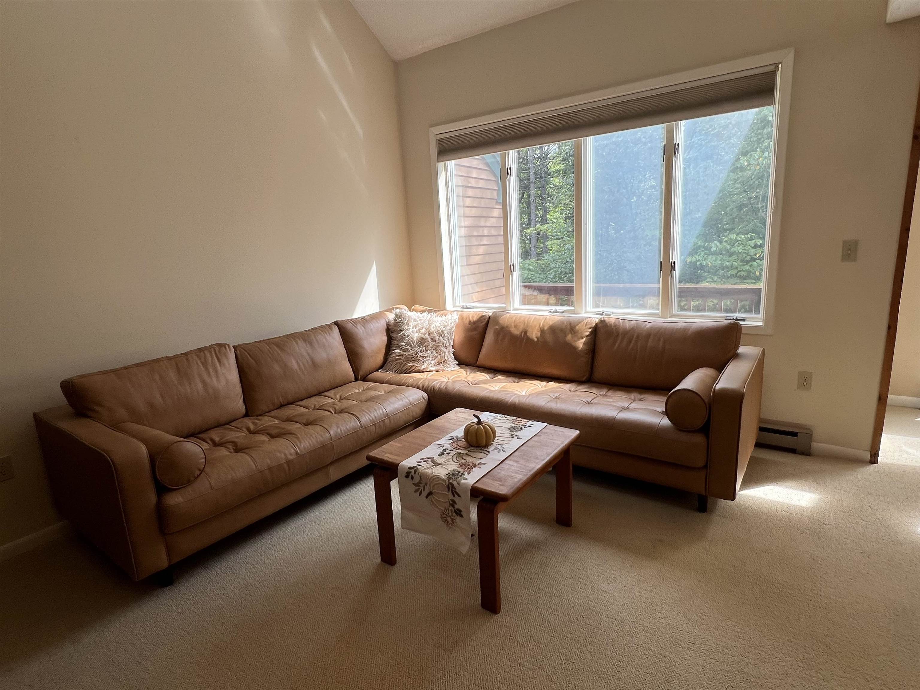 28 Tyler Spring Way, Unit 21 Waterville Valley, NH 03215 - Photo 4 of 52 Gallery Image 4