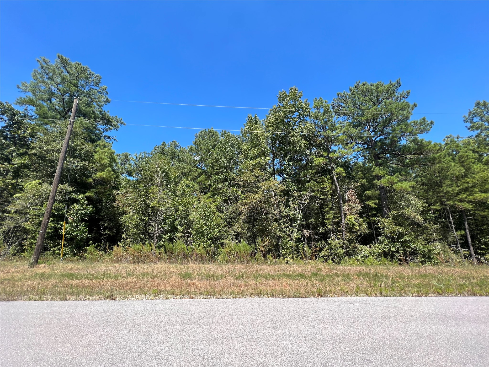 29-30-21-9 Windmill Road Huntsville, TX 77340 - Photo 10 of 21 Gallery Image 10