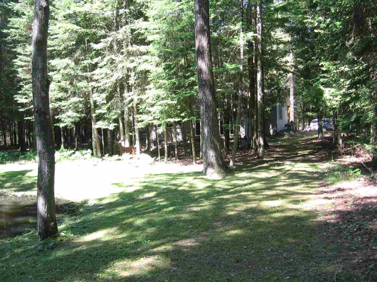 4734 Taber Road South Branch, MI 48761 - Photo 14 of 15 1864066-13.JPG