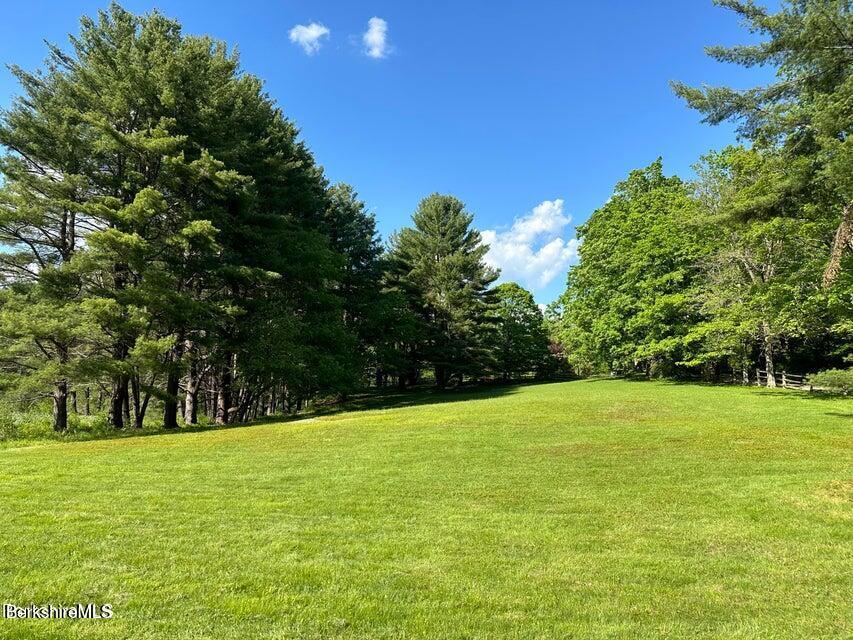 17 Cronk Road Monterey, MA 01245 - Photo 3 of 65 a view of yard with trees