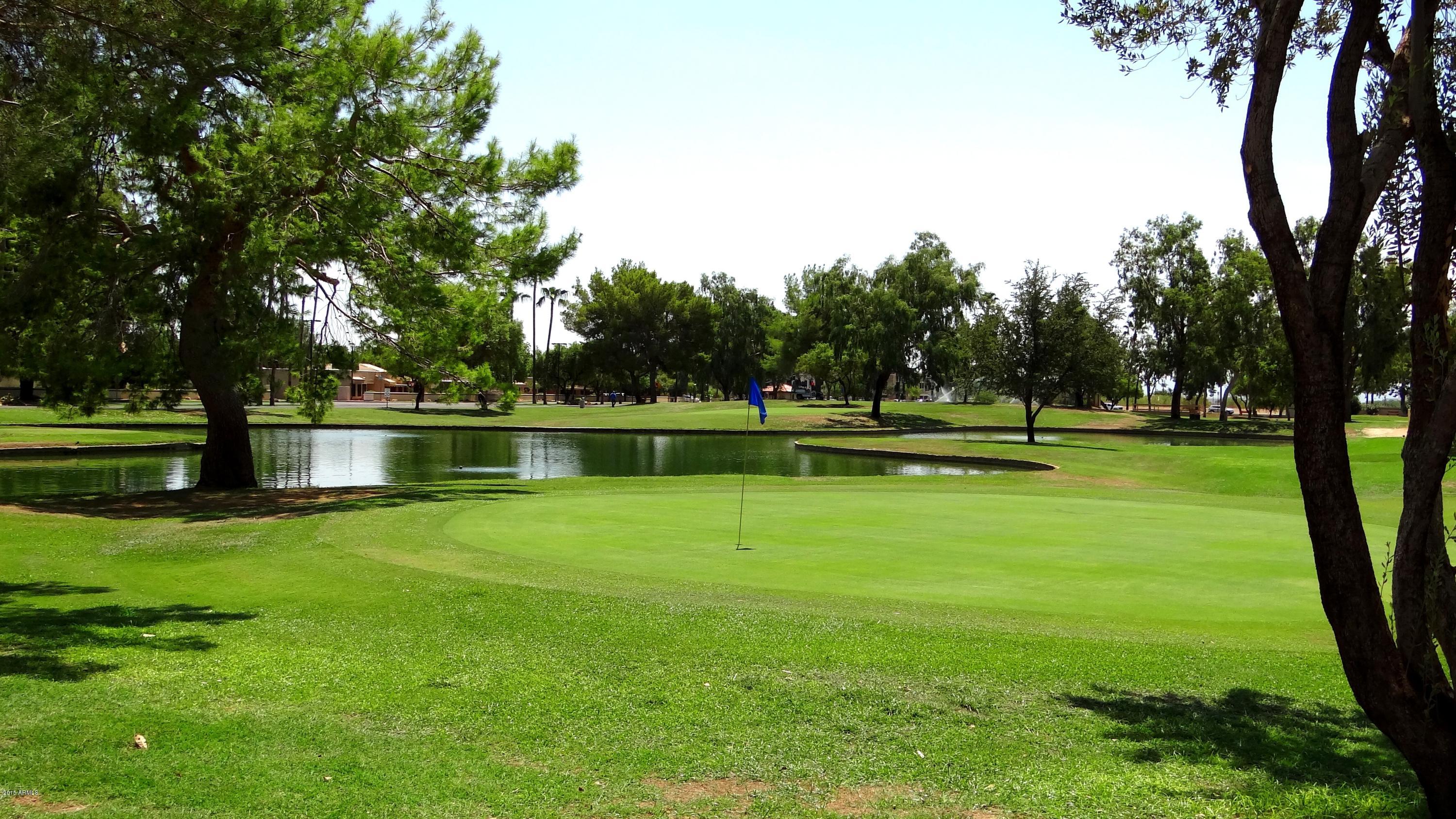 14300 West Bell Road, Unit 262 Surprise, AZ 85374 - Photo 22 of 22 GOLF