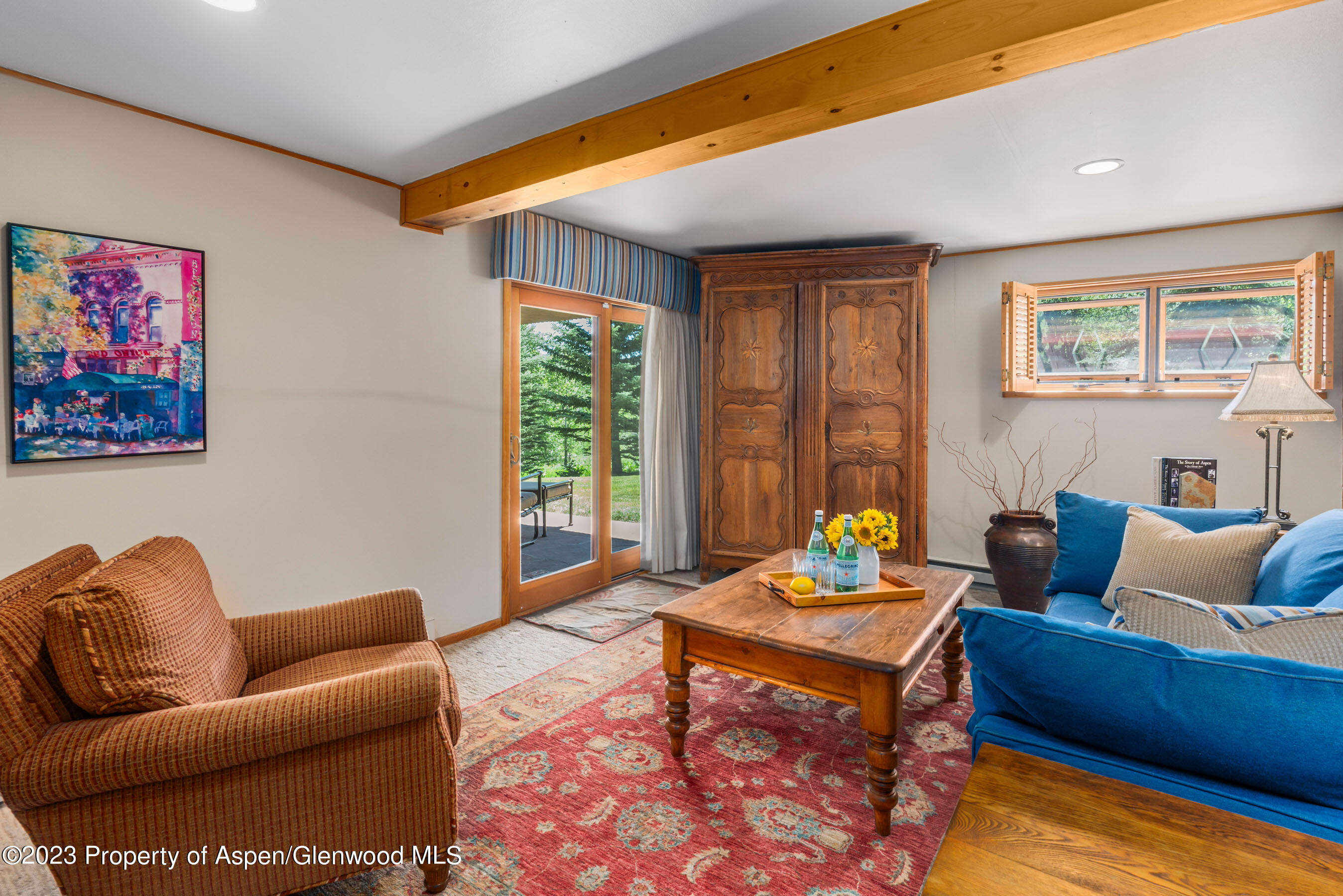 164 Meadow Lane Snowmass Village, CO 81615 - Photo 12 of 29 Lower-Level Family Room
