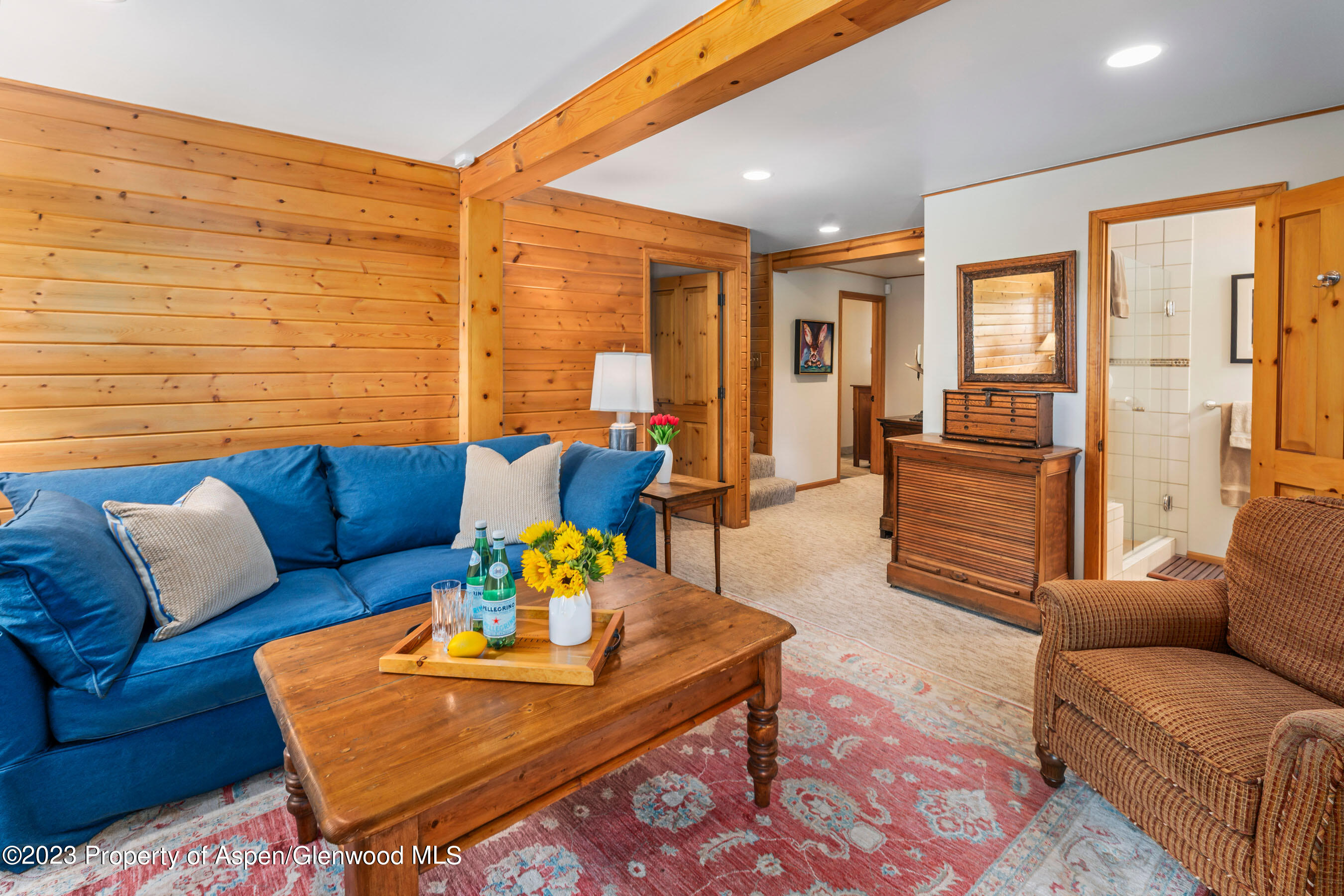 164 Meadow Lane Snowmass Village, CO 81615 - Photo 13 of 29 Lower-Level Family Room