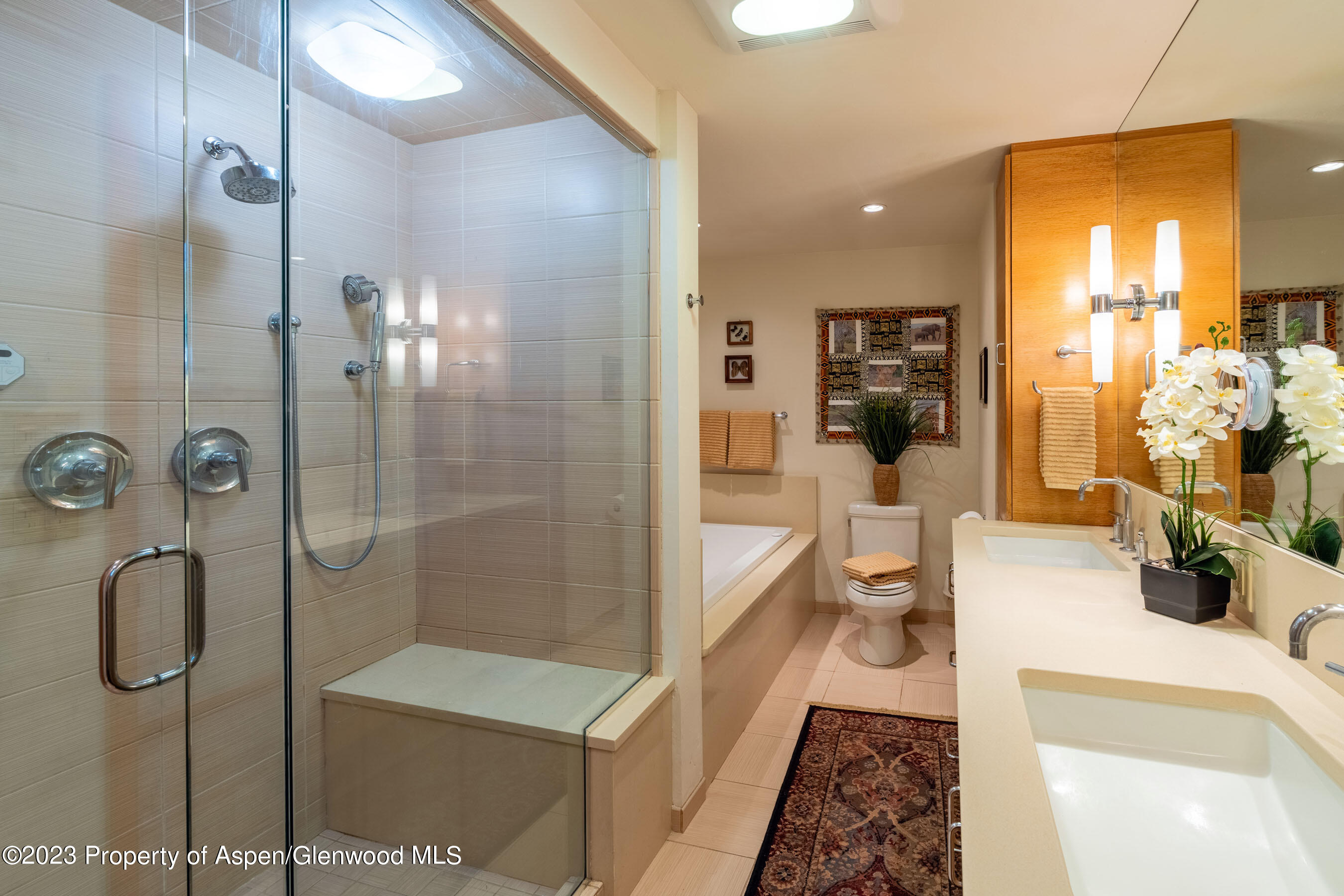 164 Meadow Lane Snowmass Village, CO 81615 - Photo 15 of 29 Primary Suite Bathroom
