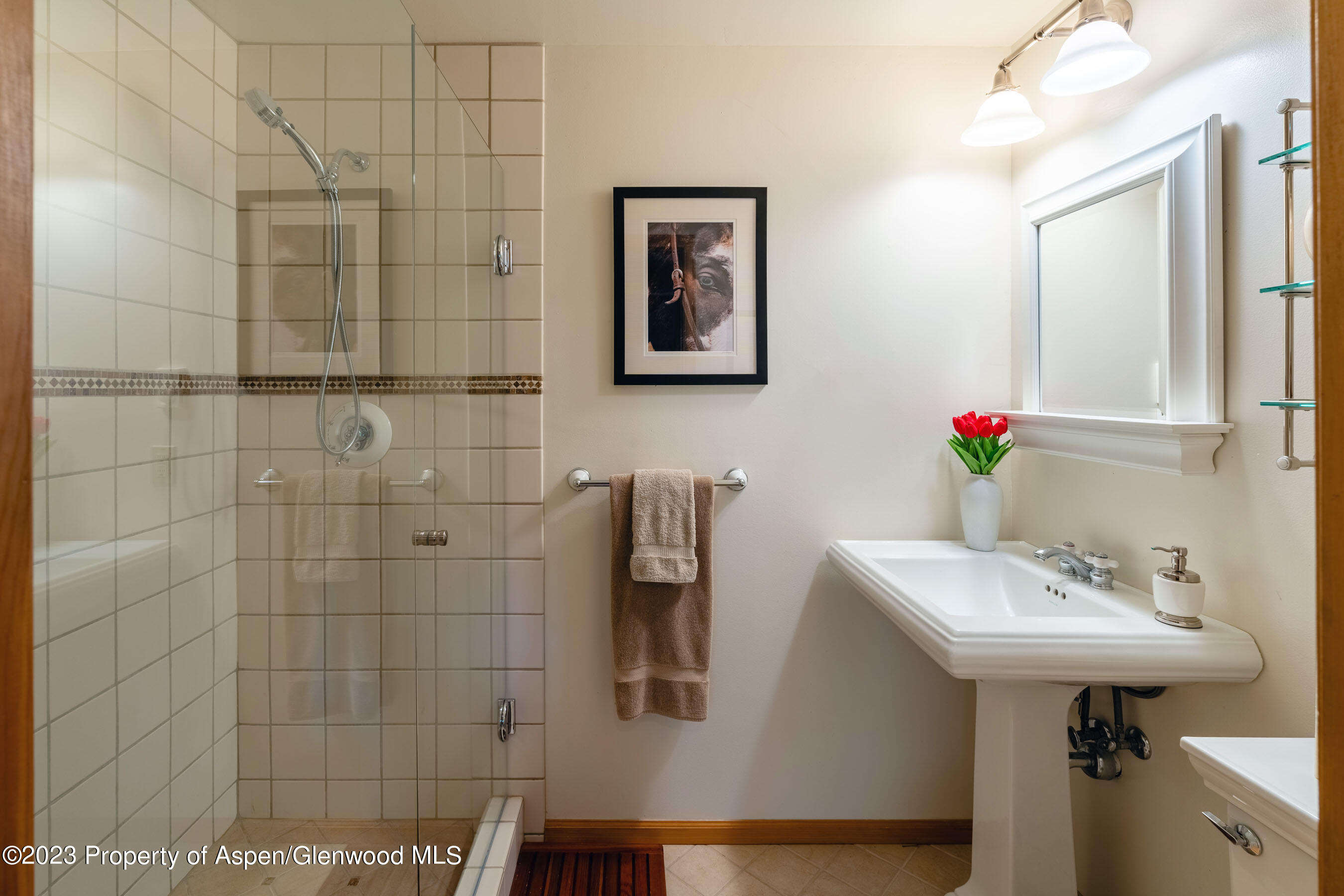 164 Meadow Lane Snowmass Village, CO 81615 - Photo 19 of 29 Bathroom Off the Lower Level Family Room