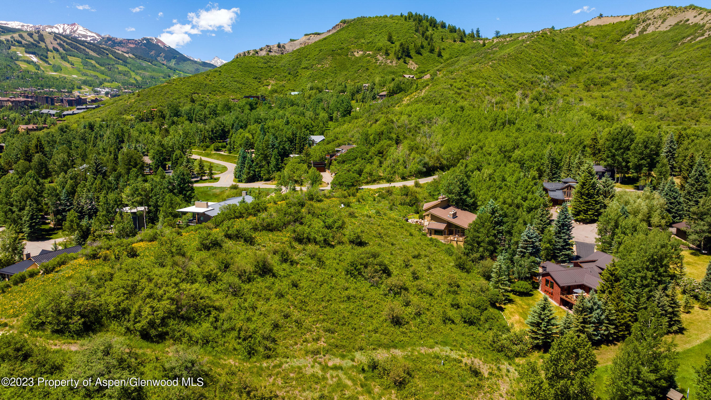 164 Meadow Lane Snowmass Village, CO 81615 - Photo 26 of 29 The Back Yard and Location to Open Space
