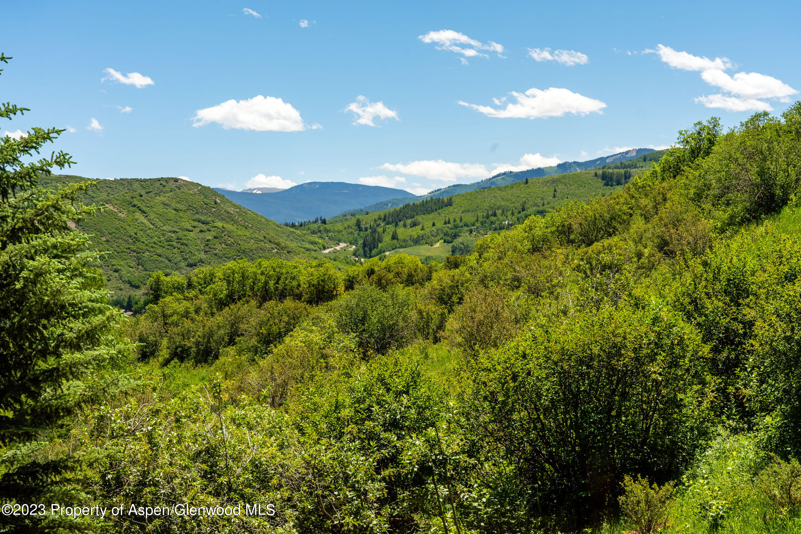 164 Meadow Lane Snowmass Village, CO 81615 - Photo 27 of 29 Beautiful Foliage